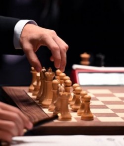 Ставки на шахматы для новичков и опытных бетторов
